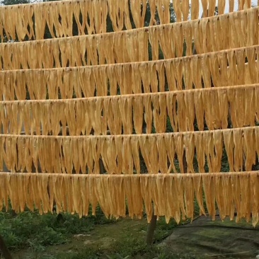 腐竹
