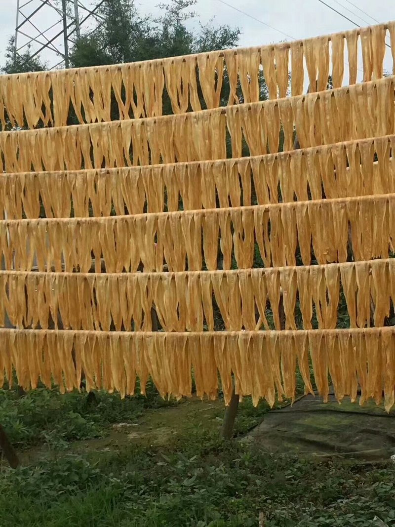 腐竹