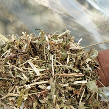 花生秧，草场直销牛羊马兔草料干净无霉变无地膜