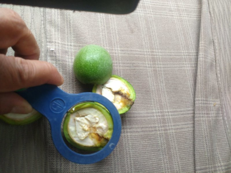 青皮核桃