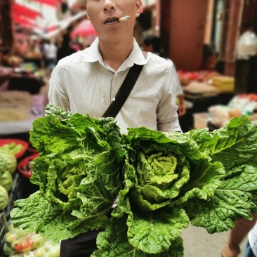 白菜