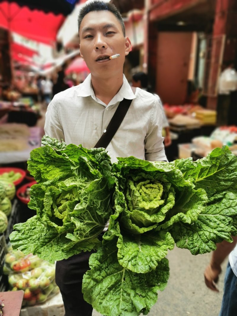 白菜