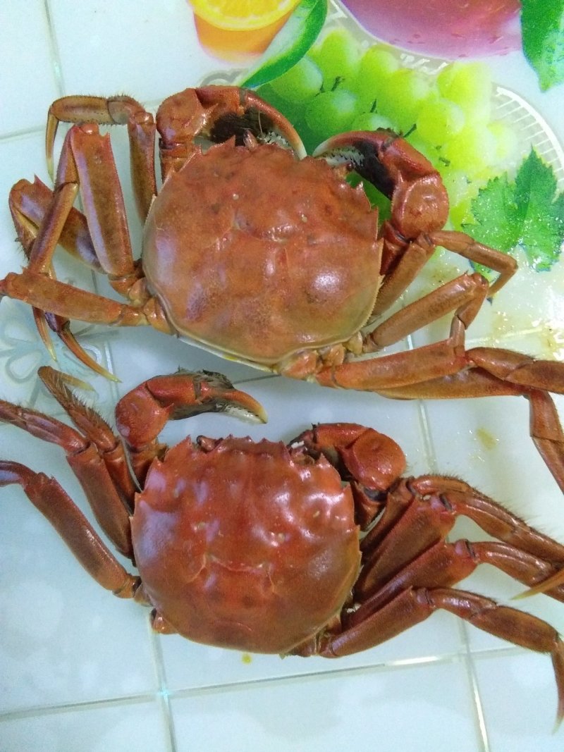 河蟹2－3两的通货，公母比例7:3，15一斤！