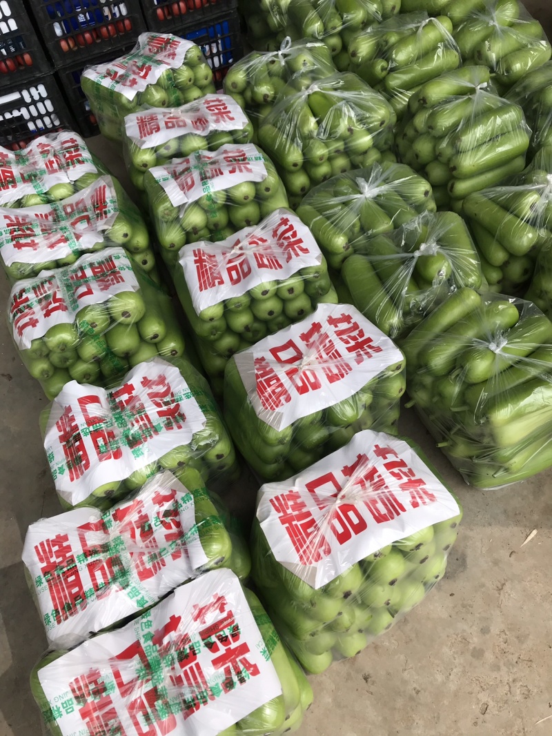 瓢瓜、短瓢、弧子、保证质量、商朝电商食堂都可以、