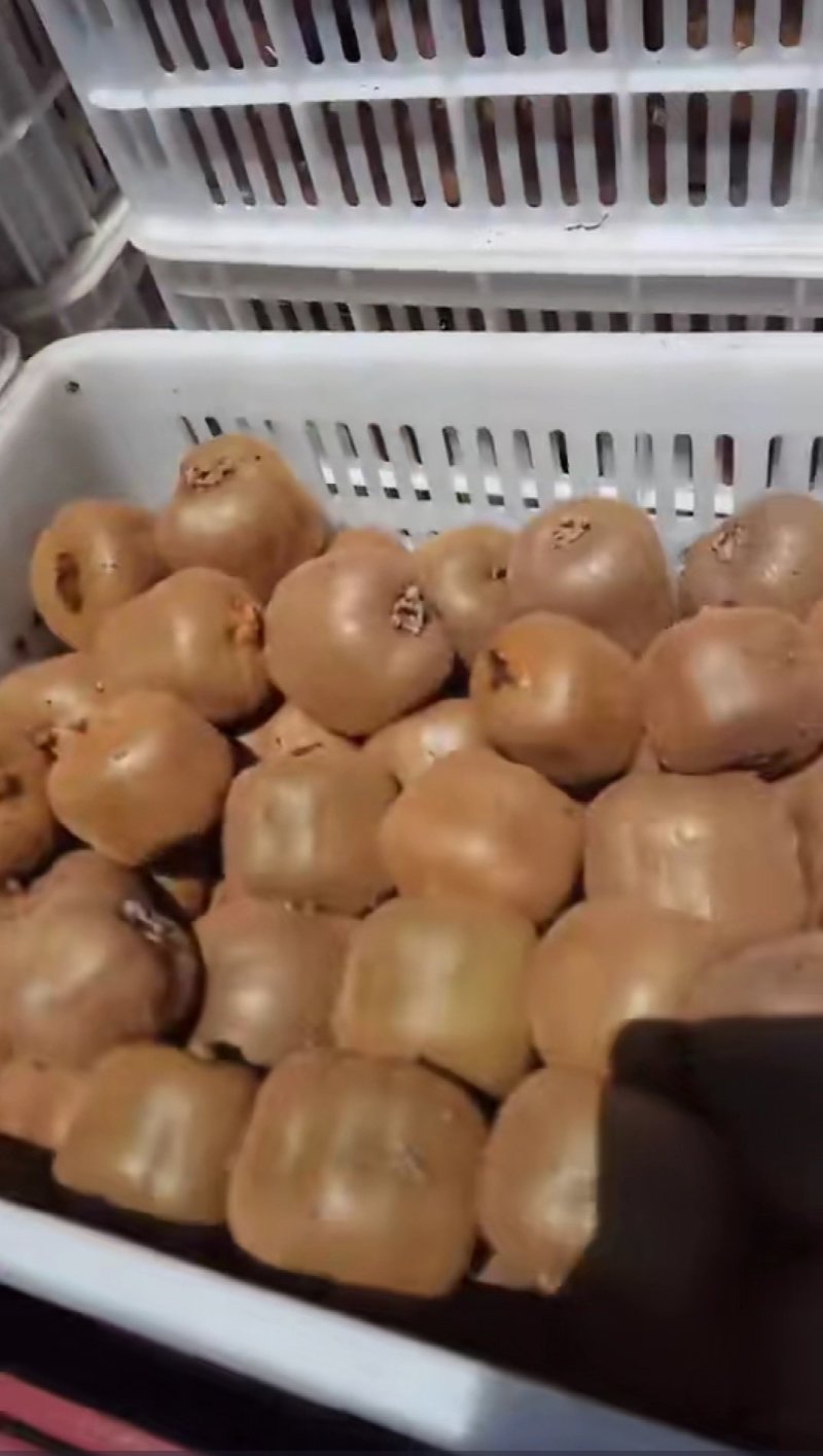 绿心猕猴桃