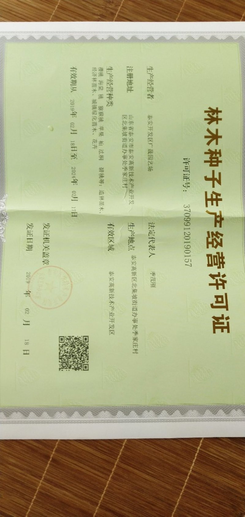 中油蟠7号桃树苗，现挖现发货，保成活率