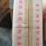 机制木炭环保无烟大量批发