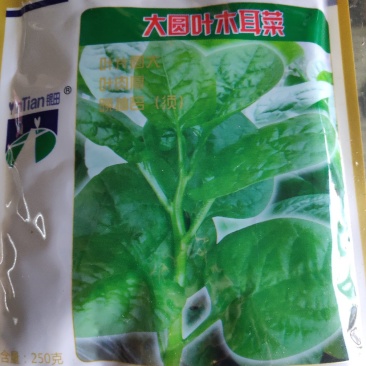 木耳菜种子大圆叶木耳菜种子
