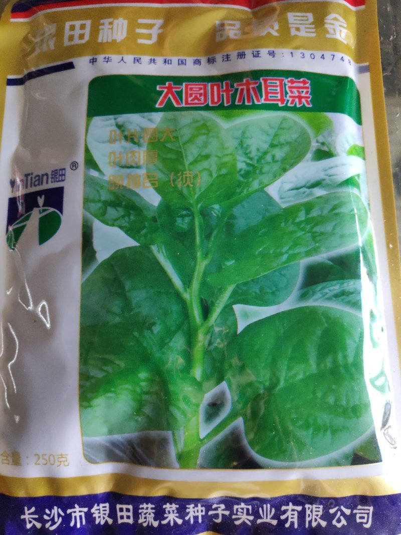 木耳菜种子大圆叶木耳菜种子