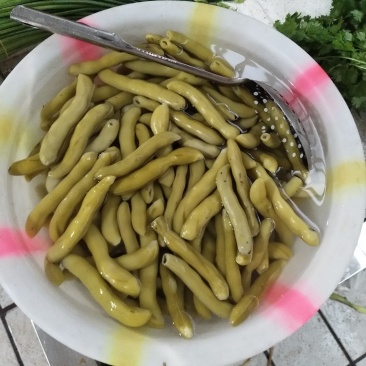 狗爪豆