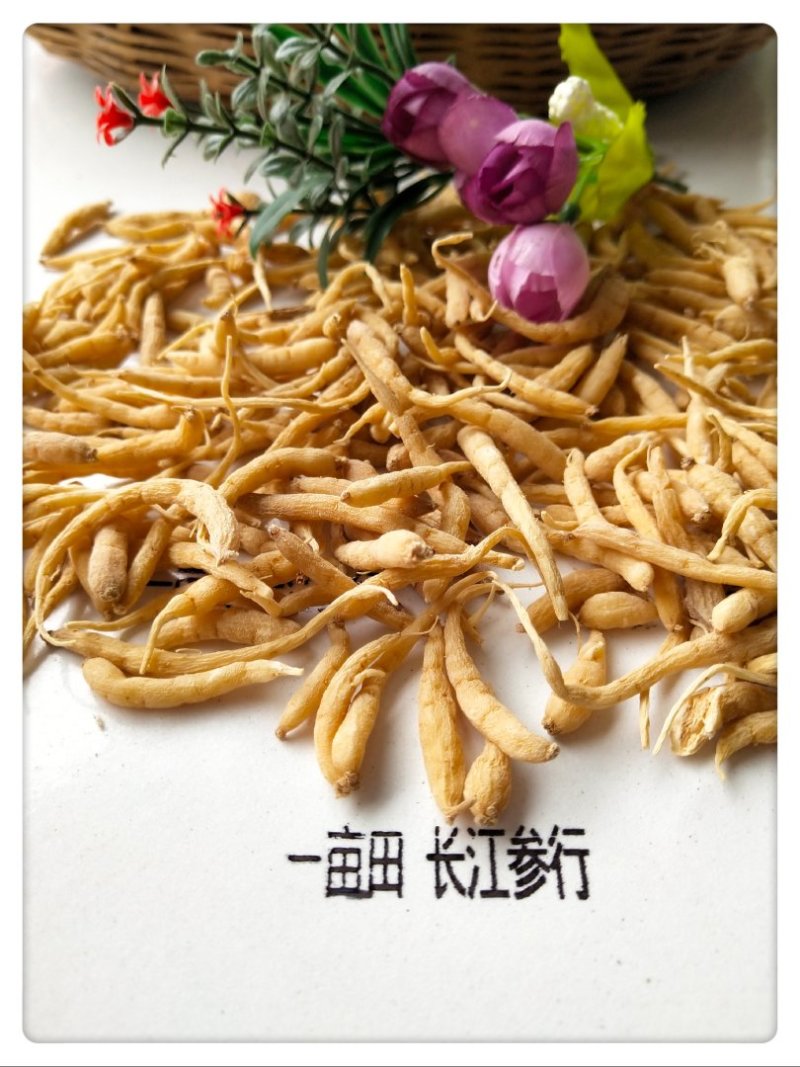 精品太子参(2024新)