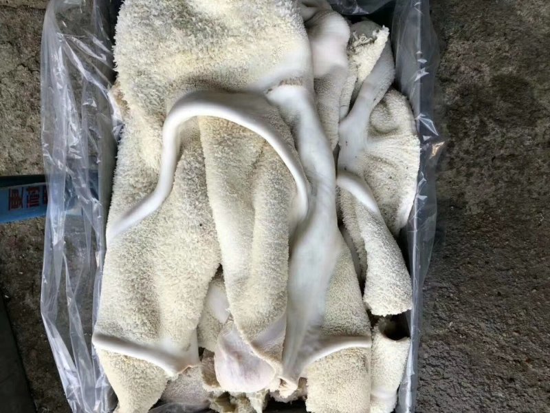 牛肚国产熟半成品牛肚