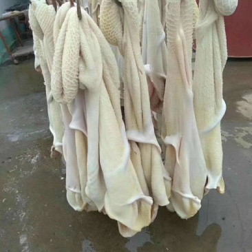 牛肚国产熟半成品牛肚