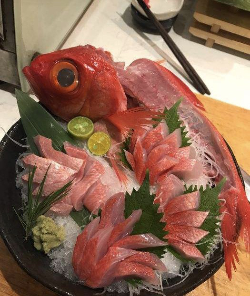 金目鲷