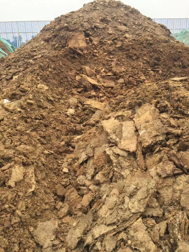 羊粪发酵羊粪羊粪肥生根壮苗促生长保花保果