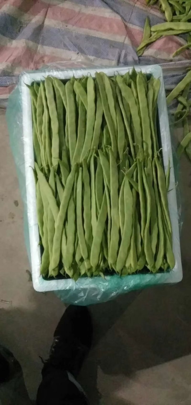 豆类