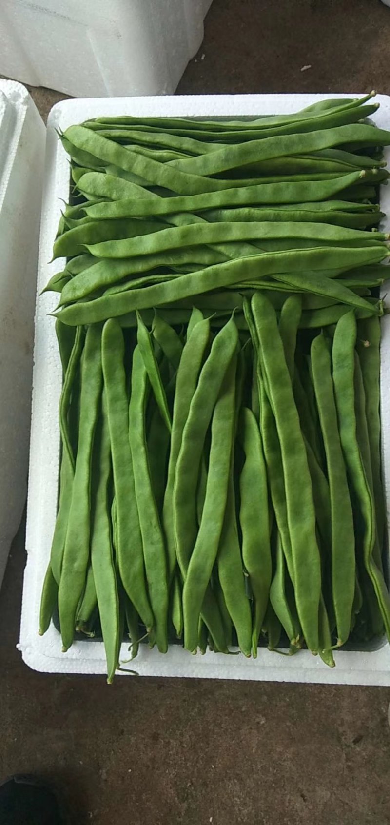 豆类