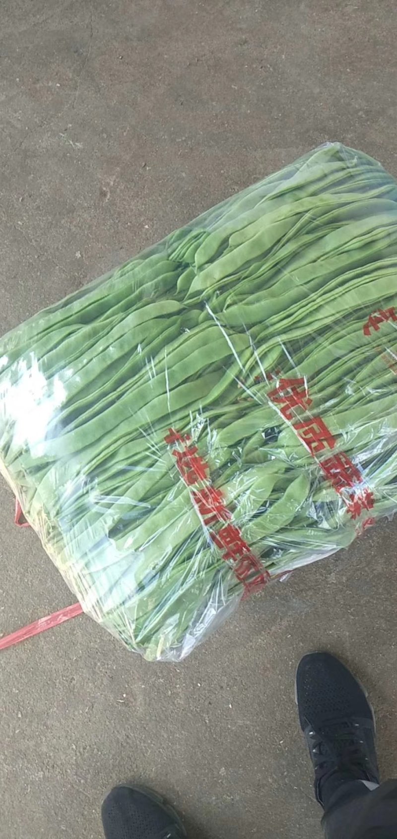 豆类