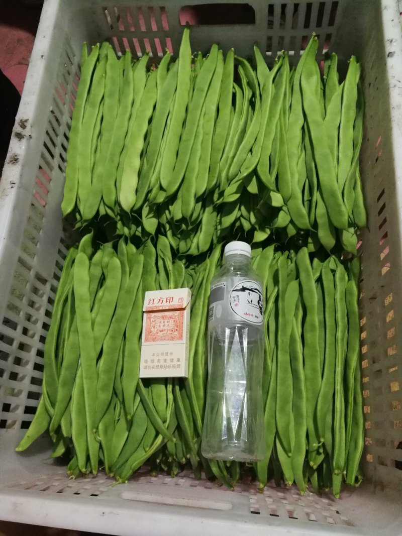 豆类