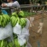 香蕉