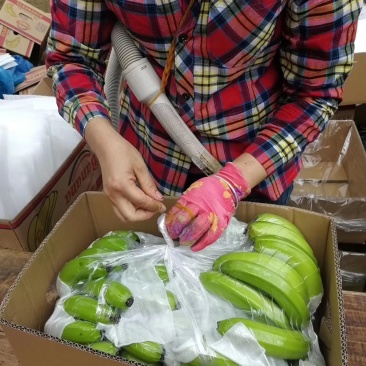 香蕉