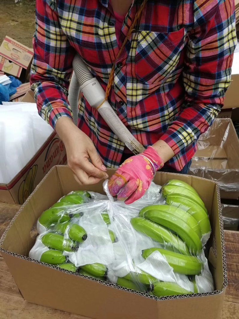 香蕉