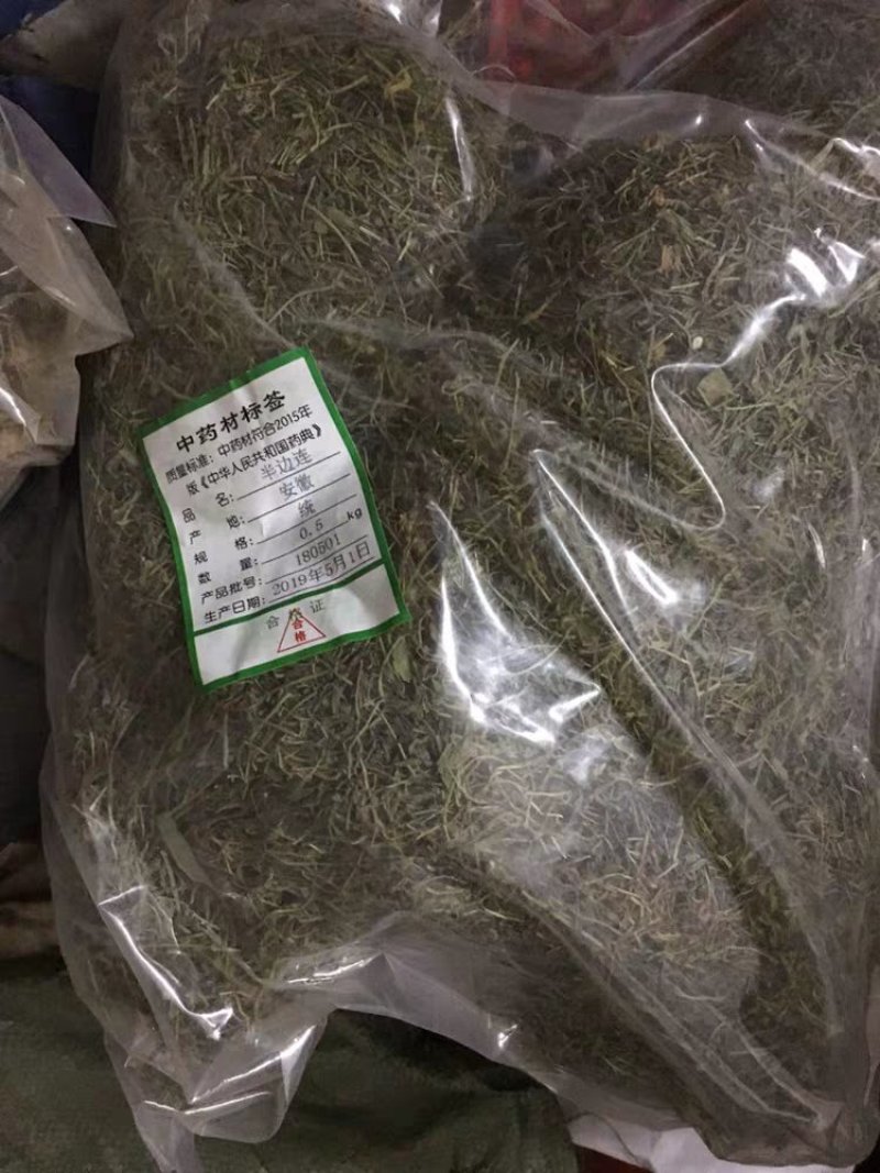 半边莲半边连半边花农家初选