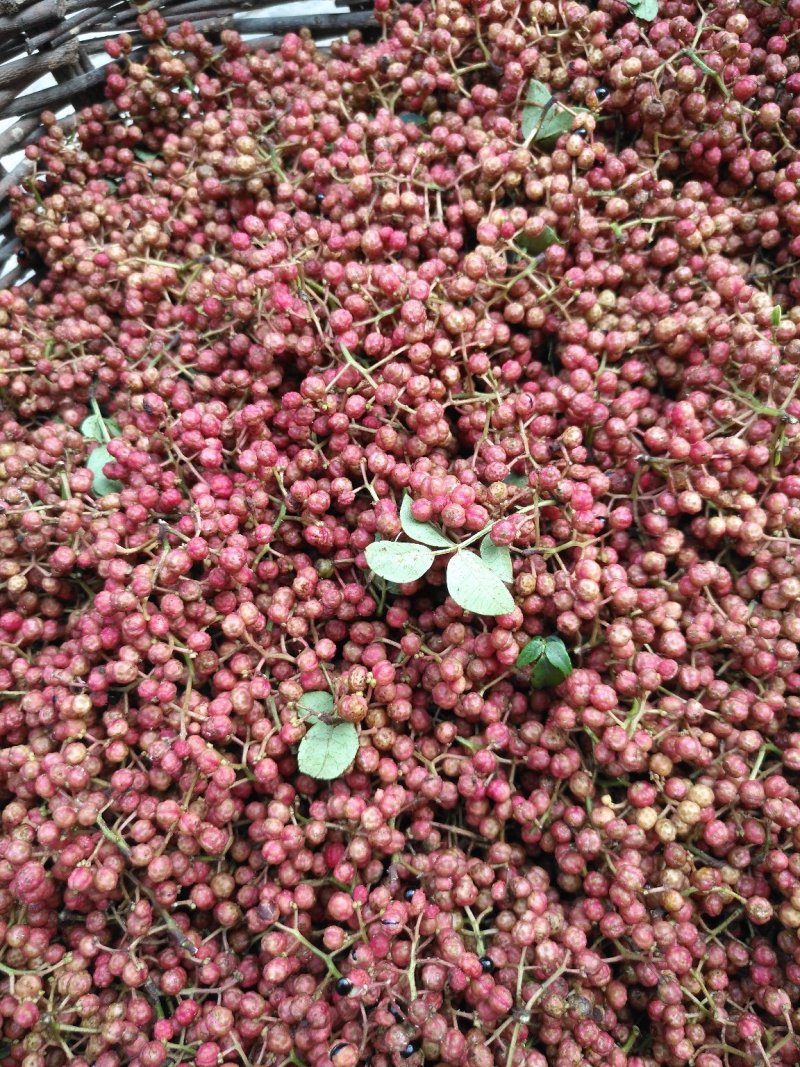 花椒