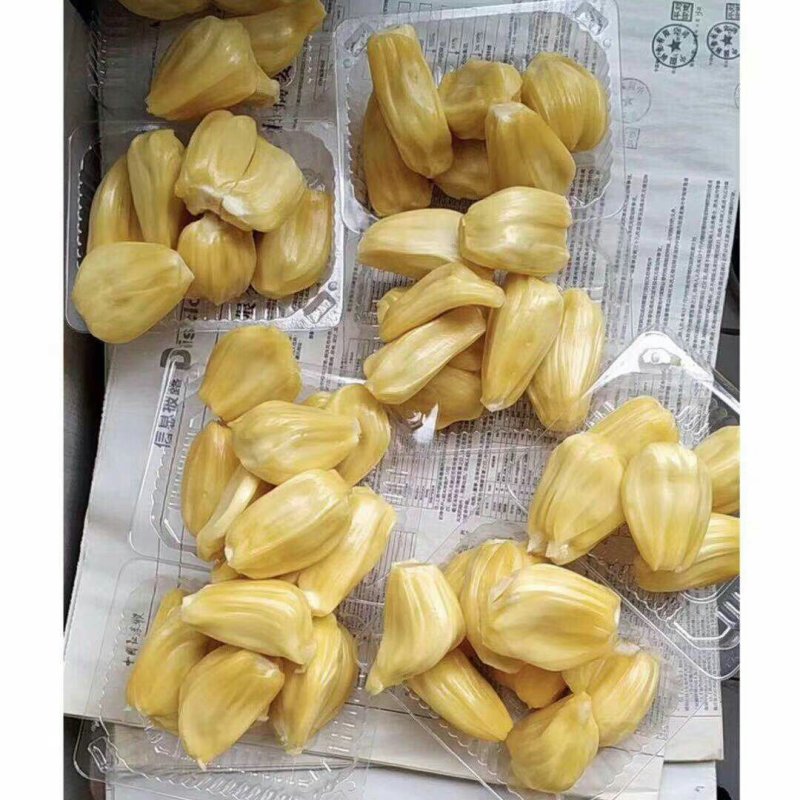 精品大果🏅️海南菠萝蜜黄肉圆润饱满合适水果店超市剥肉