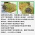 精品大果🏅️海南菠萝蜜黄肉圆润饱满合适水果店超市剥肉