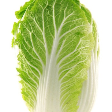 蔬菜
