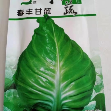 甘蓝种子牛心甘蓝种子，春丰甘蓝.种子春秋播种品种