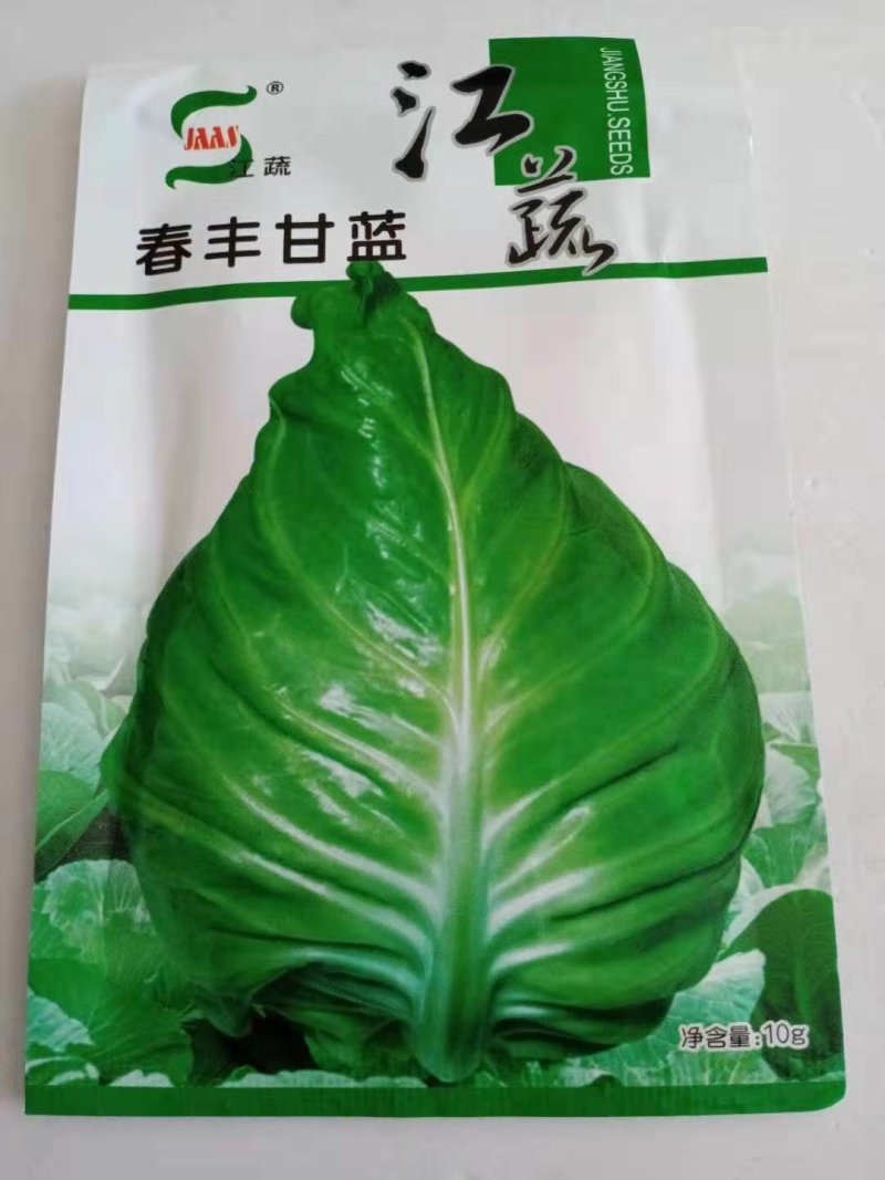 甘蓝种子牛心甘蓝种子，春丰甘蓝.种子春秋播种品种