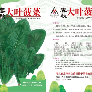 大叶菠菜，冬根菠菜，小白菜种子有售