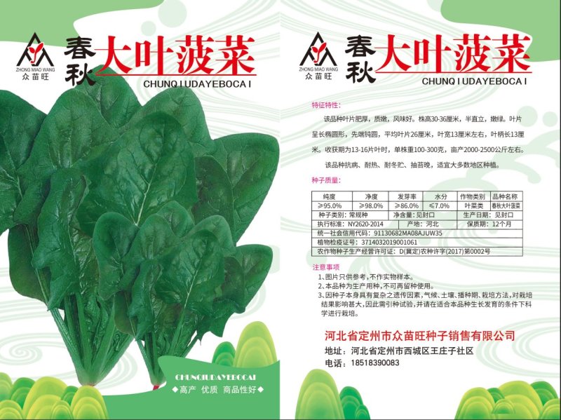 大叶菠菜，冬根菠菜，小白菜种子有售