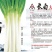 大叶菠菜，冬根菠菜，小白菜种子有售