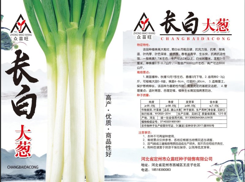 大叶菠菜，冬根菠菜，小白菜种子有售
