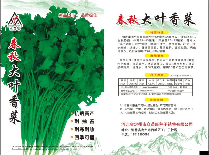 大叶菠菜，冬根菠菜，小白菜种子有售