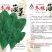 大叶菠菜，冬根菠菜，小白菜种子有售