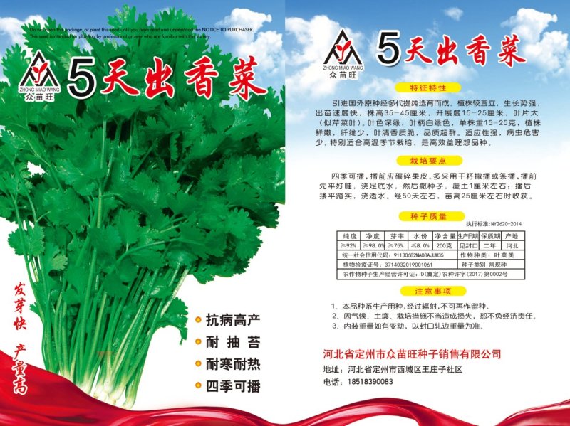 大叶菠菜，冬根菠菜，小白菜种子有售