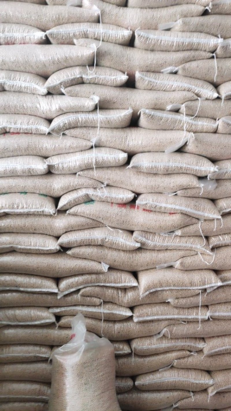 厂家直销精选磨面碗豆，油炸碗豆，芽菜碗豆