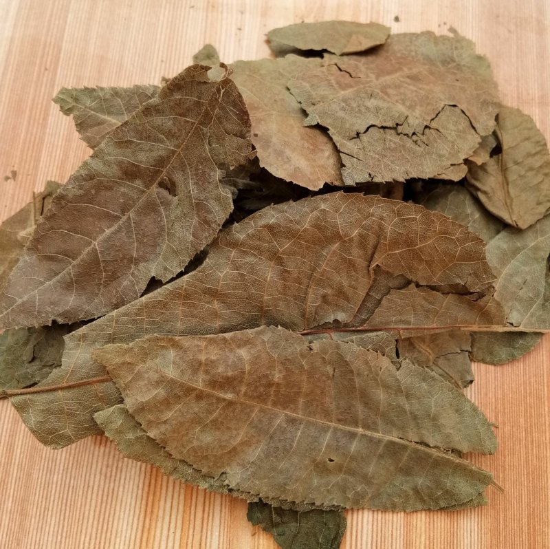 青钱柳金钱柳包邮供应上千种中药