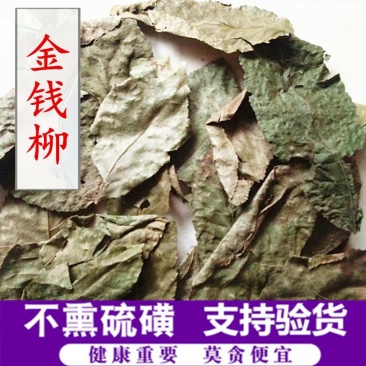 青钱柳金钱柳包邮供应上千种中药