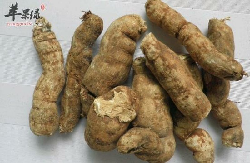粉防己