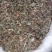 蒲公英全草切片带花带根头茬货