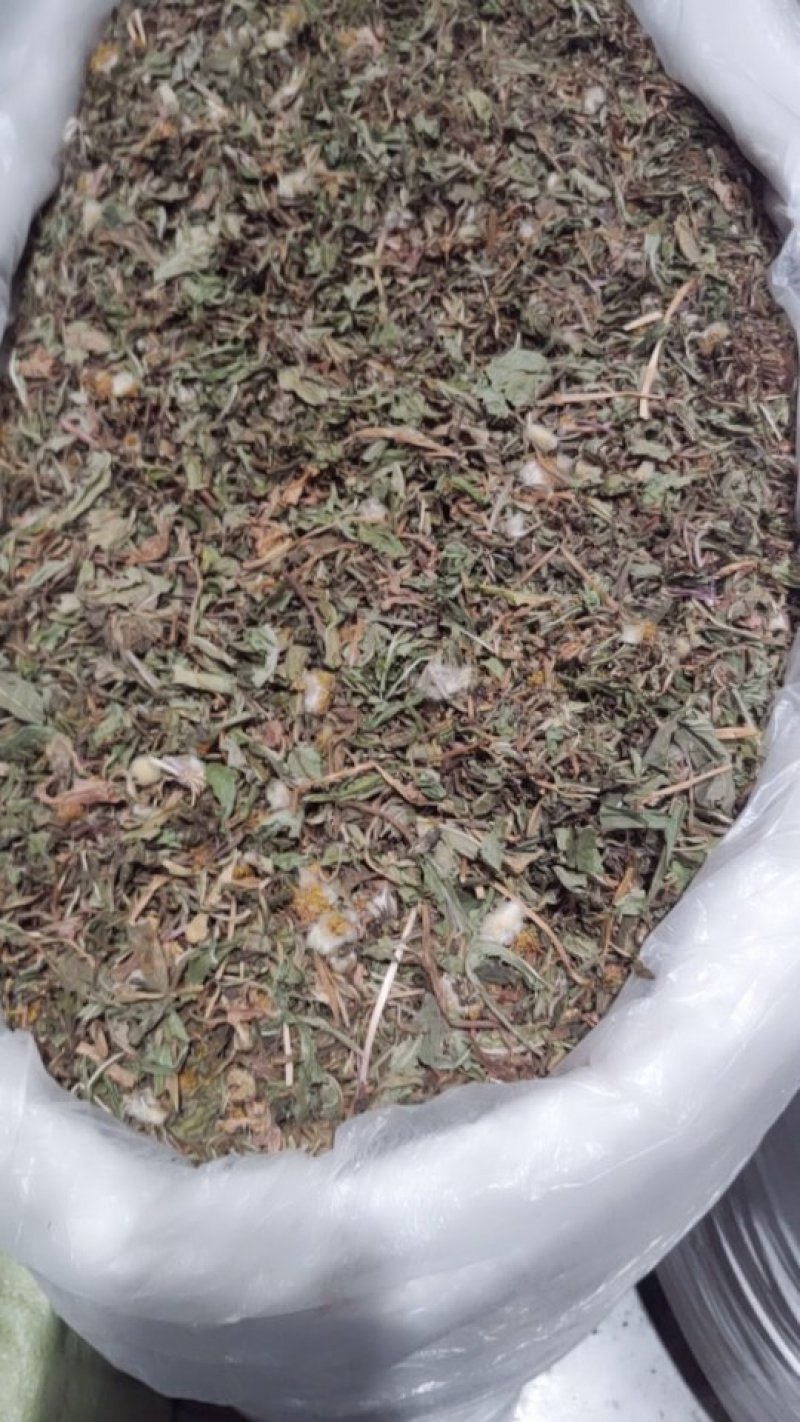 蒲公英全草切片带花带根头茬货