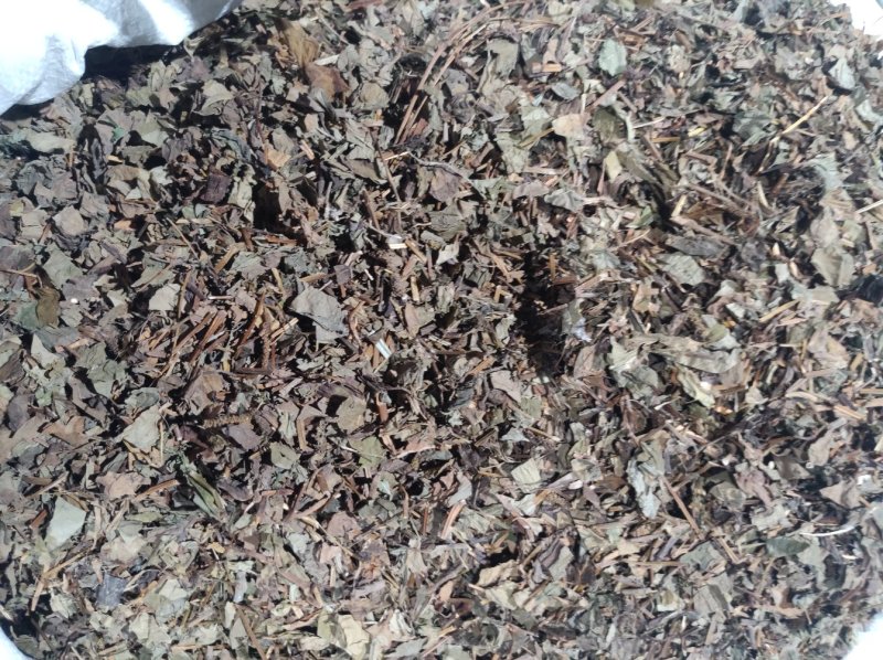 鱼腥草手选切片全草