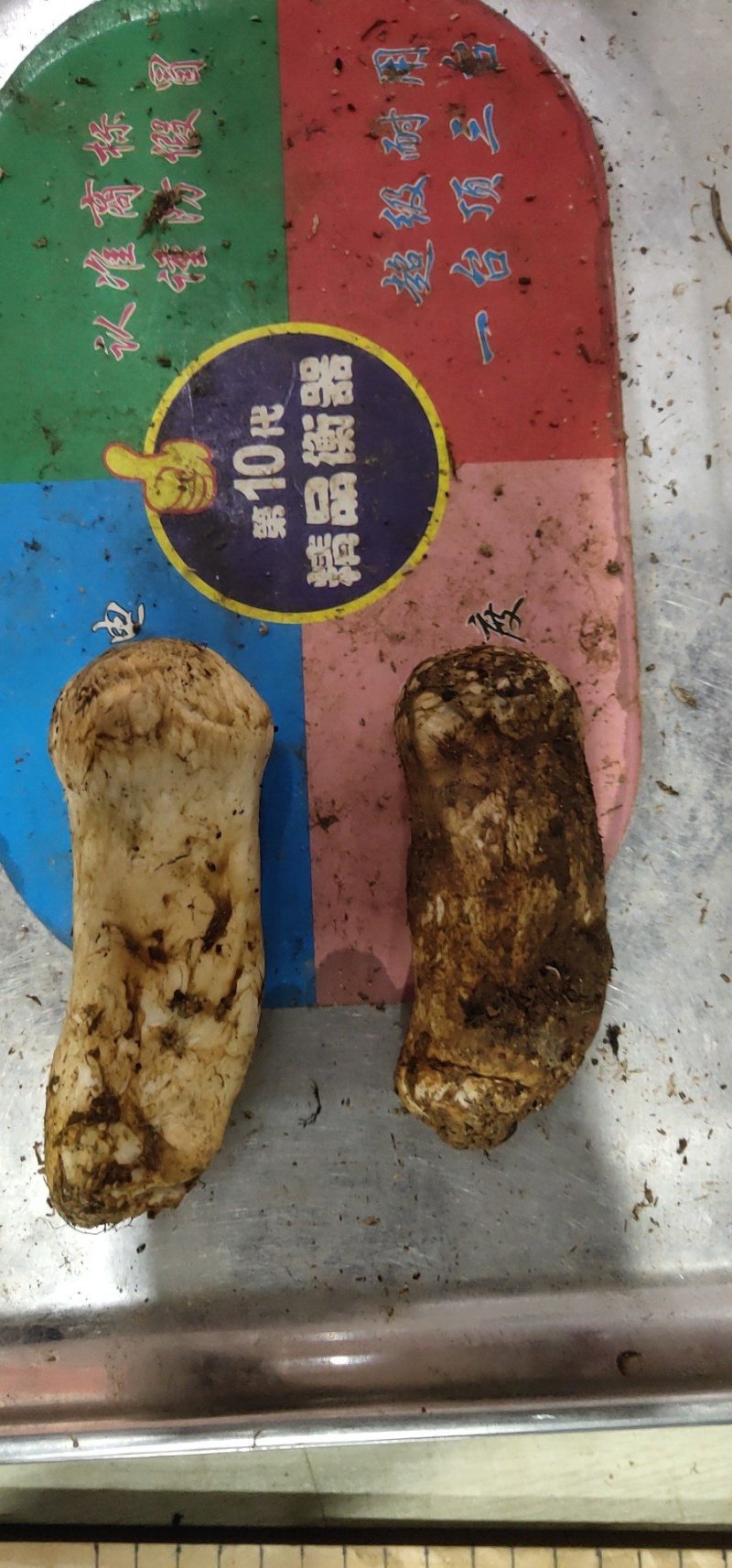 松茸