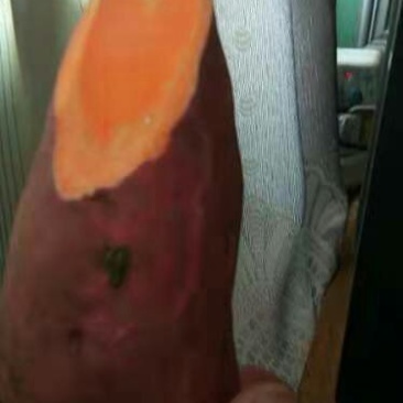 烟薯25烤块
