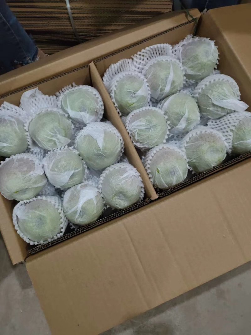 魏县鸭梨，一件代发纸箱加托快递包邮，日供应一万件能开发票